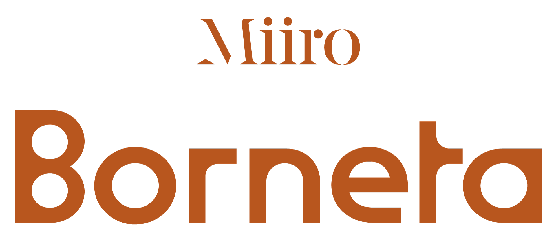 borneta Logo